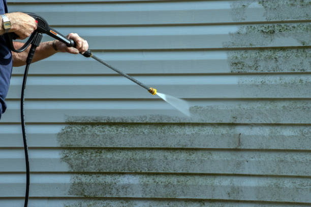 Best Spring Cleaning  in Audubon, IA
